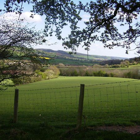 Bed and Breakfast Highfield Hay-On-Wye Exterior foto