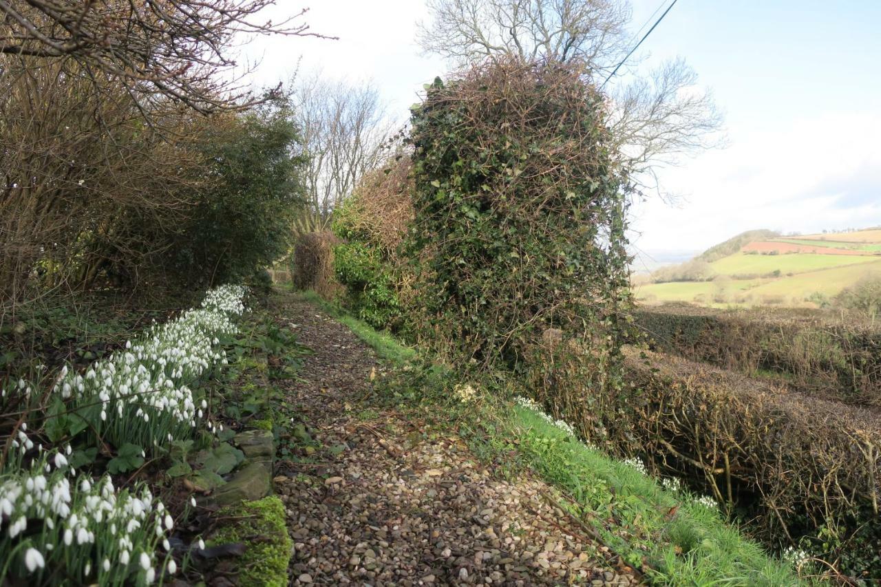 Bed and Breakfast Highfield Hay-On-Wye Exterior foto